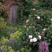 Jacksons Wold Garden